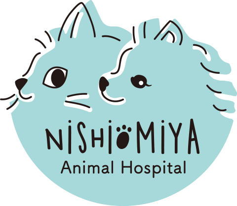 にしおおみや動物病院