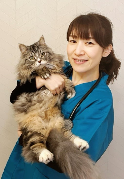 新島未咲子